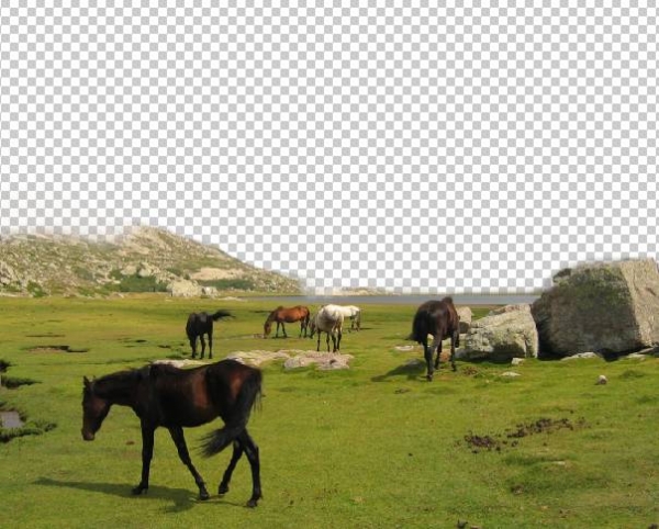 Creation of Land of Wild Horses: Step 1